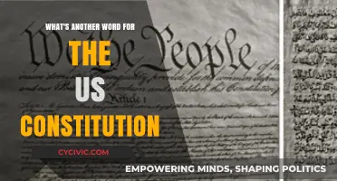 Exploring Synonyms for the US Constitution