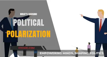 Divided We Stand: Unraveling the Roots of Political Polarization