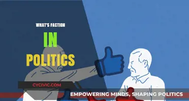 Understanding Political Factions: Their Role, Influence, and Impact on Governance