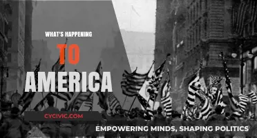 America in Crisis: Unraveling the Social, Political, and Economic Turmoil