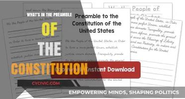 The Preamble: Constitution's Core Principles