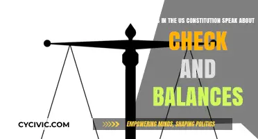 Checks and Balances: The Constitution's Power Play