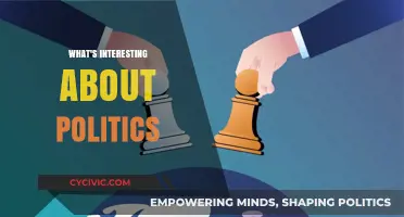 Unveiling the Intriguing World of Politics: Power, People, and Passions