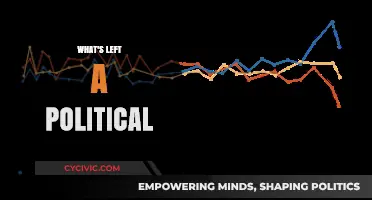 What's Left in Politics? A Deep Dive into Shifting Ideologies