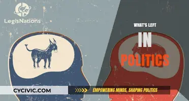 What's Left in Politics: Navigating Ideologies and Shifting Landscapes