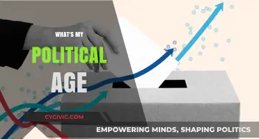 Discover Your Political Age: Unveiling Ideological Generations and Beliefs