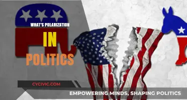 Understanding Political Polarization: Causes, Effects, and Bridging the Divide