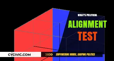 Understanding Your Political Alignment: A Comprehensive Guide to the Test