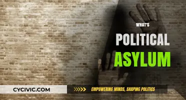 Understanding Political Asylum: Rights, Process, and Global Implications Explained