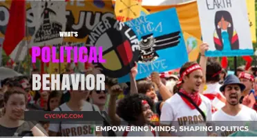 Understanding Political Behavior: Actions, Influences, and Societal Impacts Explained