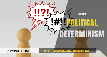 Understanding Political Determinism: Shaping Societies Through Power and Ideology