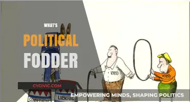 Understanding Political Fodder: Its Role, Impact, and Manipulation in Politics