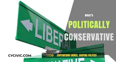 Understanding Political Conservatism: Core Principles and Modern Implications