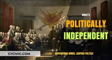 Understanding Political Independence: A Guide to Non-Partisan Principles