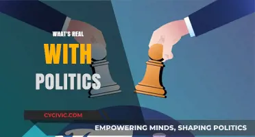Unveiling Political Realities: Truth, Deception, and Power Dynamics Explored