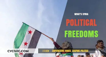 Understanding Syria's Political Freedoms: Challenges, Restrictions, and Human Rights Concerns
