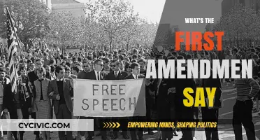 Understanding the First Amendment: Freedom's Foundation