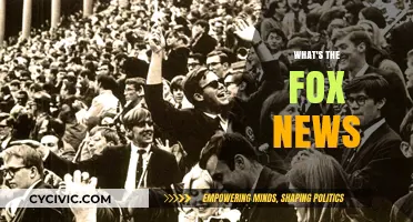 Unveiling Fox News: Its History, Influence, and Media Impact Explained