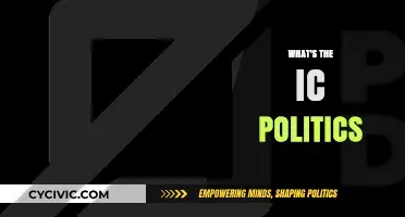 Understanding IC Politics: Navigating Internal Corporate Power Dynamics and Strategies