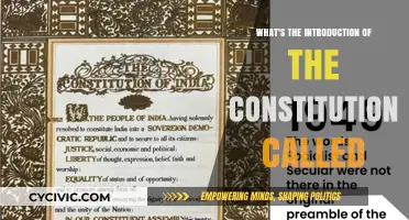 The Constitution's Introduction: A Founding Moment