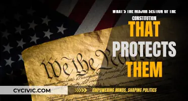 The Constitution's Safeguards: What Are the Key Sections?