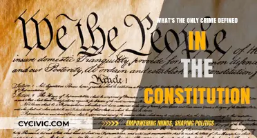 The Constitution's Singularly Defined Crime: What and Why?