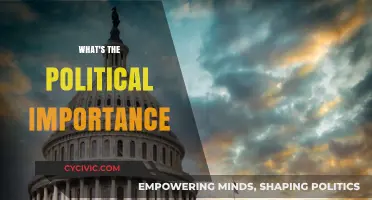 Decoding the Political Landscape: Why Every Vote Matters