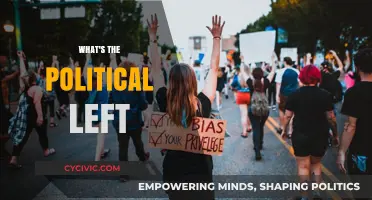 Understanding the Political Left: Core Values, Goals, and Impact