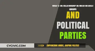 Interest Groups and Political Parties: Allies, Rivals, or Both?