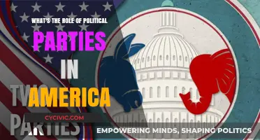 Understanding Political Parties' Influence in American Democracy and Governance
