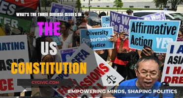 Exploring Constitutional Issues: Diversity and Divisive Debates