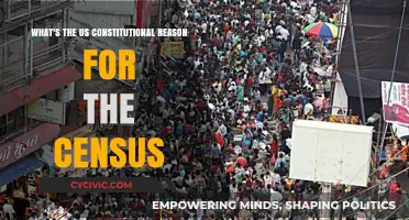 The Census: A Constitutional Mandate for Representation