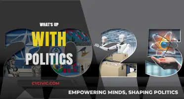 What's Up with Politics? Decoding Chaos, Trends, and Future Shifts