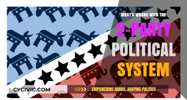 The Flawed Duopoly: Why America's Two-Party System Fails Democracy