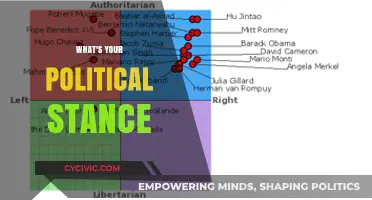 Exploring Political Beliefs: Understanding Your Stance in Today's Divided World