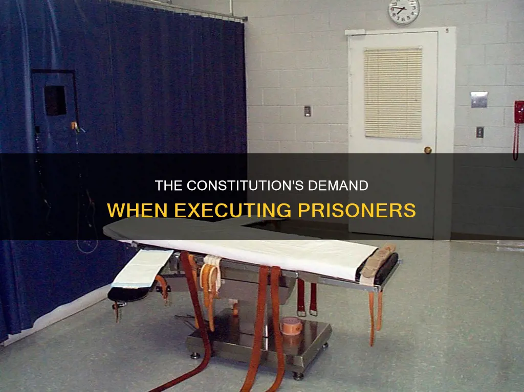 when a prisoner is executed the constitution demands