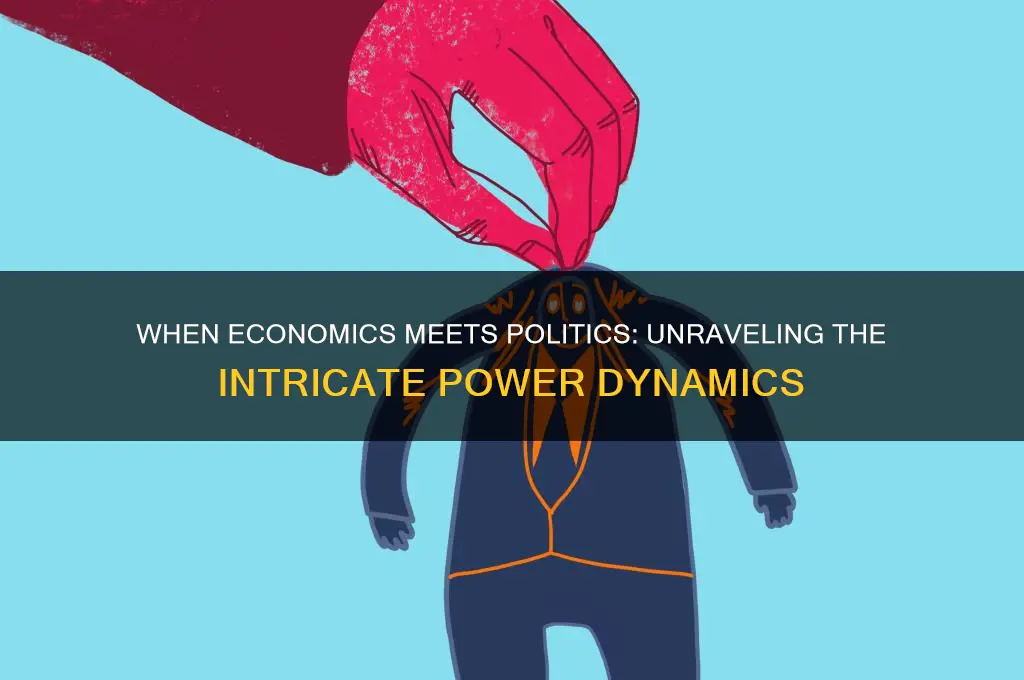 when all economics is political