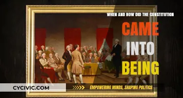 The Constitution's Origin: History and Formation