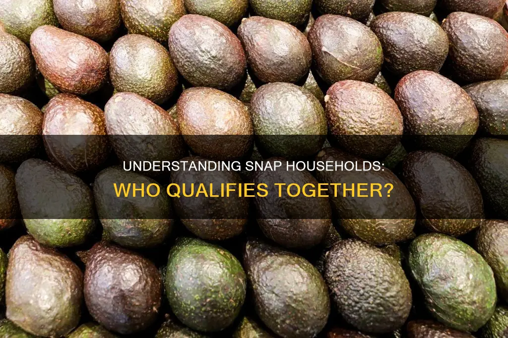 when applying for snap benefits what constitutes a household