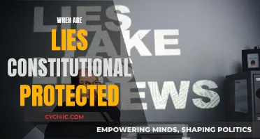 Lies and the Law: When Are They Protected?