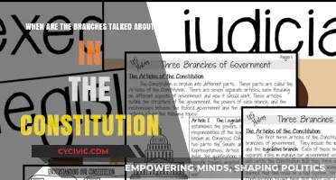 The Constitution's Branches: A Historical Talk