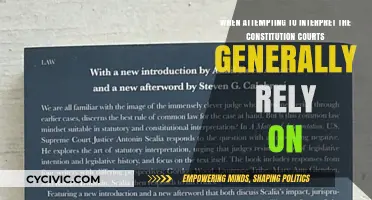 Courts' Constitution Interpretation: What's the Basis?