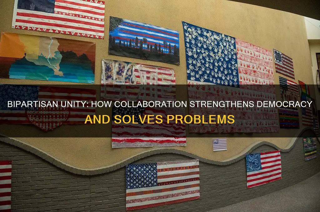 when both political parties work together