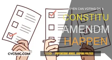 Voting on Amendments: When is it Allowed?