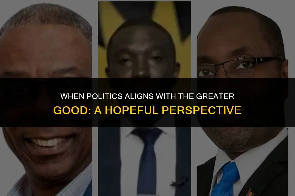 when can we say that politics is good