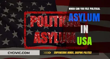 Navigating the Path to Safety: When to File for Political Asylum in the USA