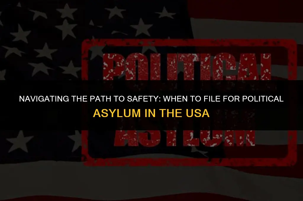 when can you file political asylum in usa