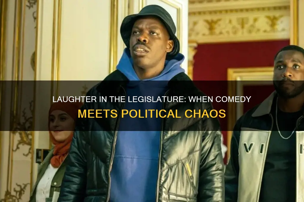 when comedy and politics collide