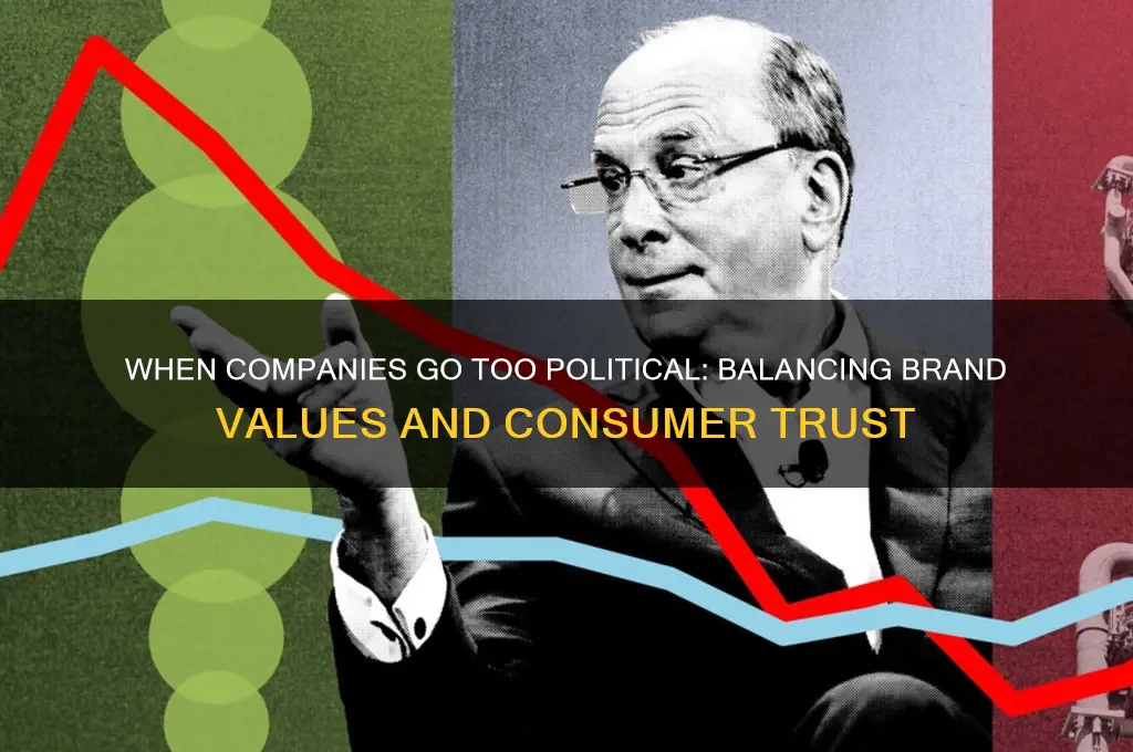 when companies a too political