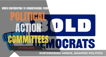 Political Action Committees: Effective Strategies for Campaign Contributions